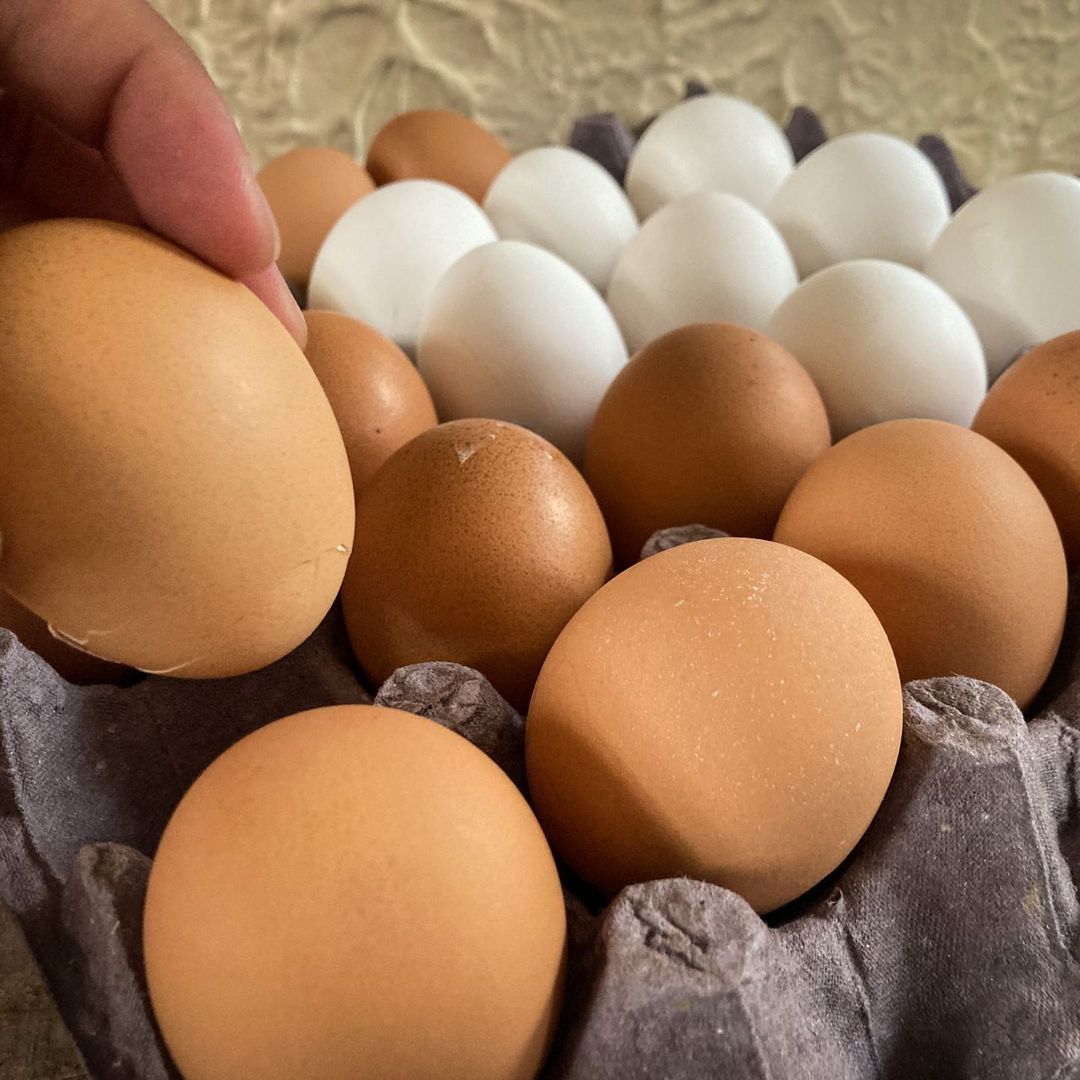 Retiran Mercado 1.5 Millones Huevos Contaminados Salmonella.